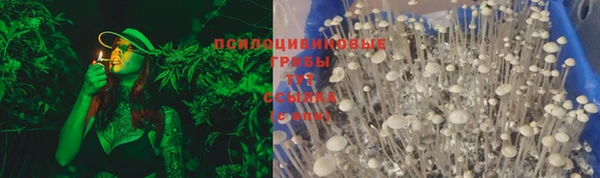 соль курить ск Алзамай